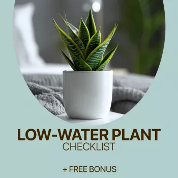 Low-Water Indoor Plants: Easy Checklist & Watering Tips